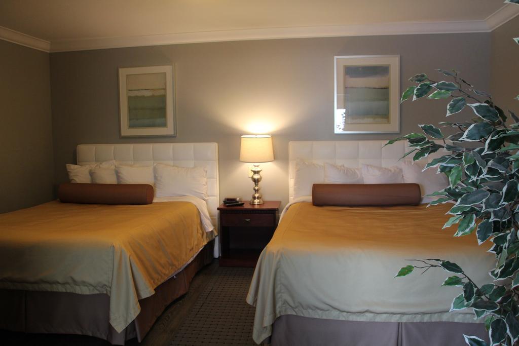 Willow Bend Motel Τρούρο Εξωτερικό φωτογραφία