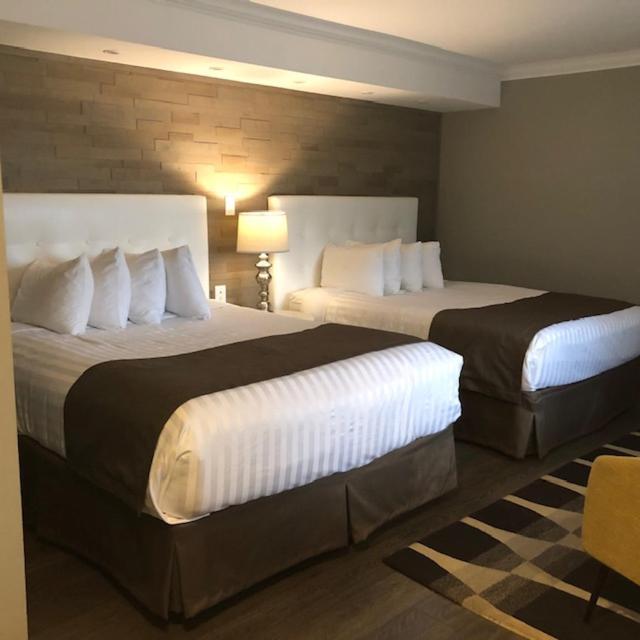 Willow Bend Motel Τρούρο Εξωτερικό φωτογραφία